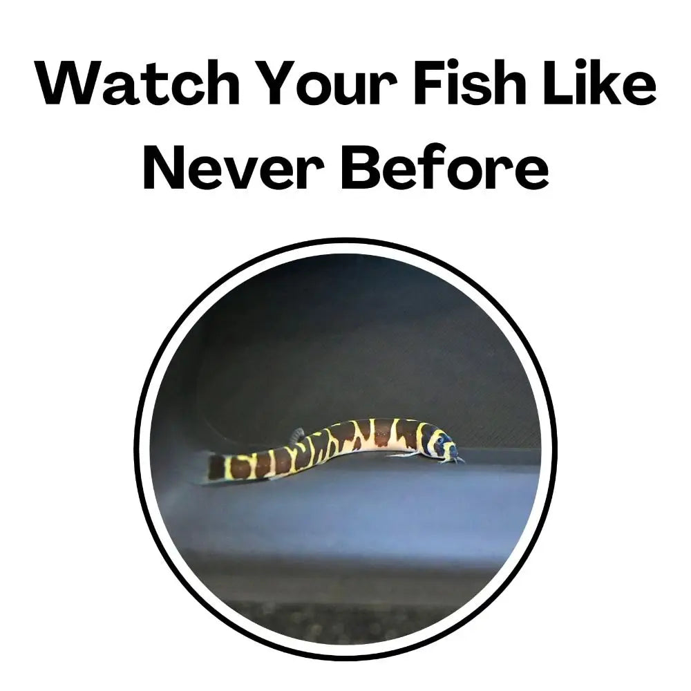 S23de732286104f1a9bc55d8d0928fc63Z